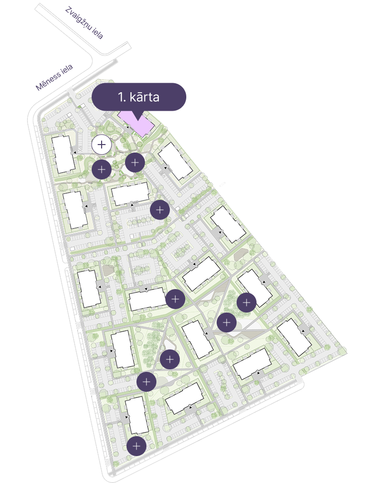 Map basis